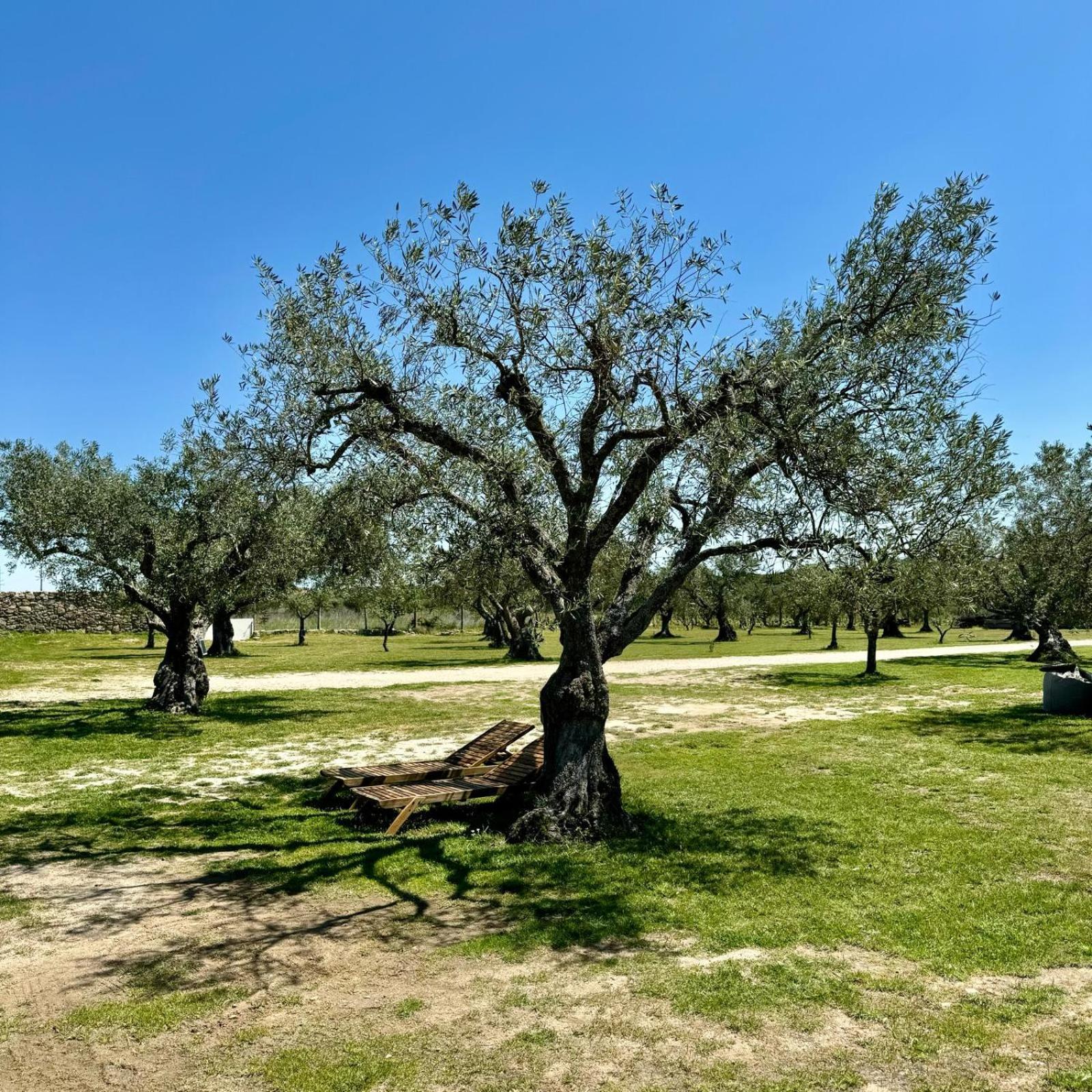Quinta Do Nobre Villa Marialva Bagian luar foto